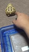 406x720