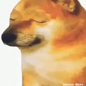 360x360