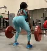 590x646