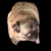 400x400