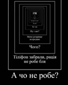 640x800