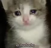 400x372
