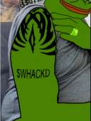 332x438