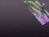 480x360