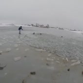 360x360