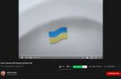 1185x778
