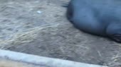 640x360