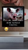 406x720