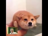 480x360