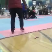 360x360