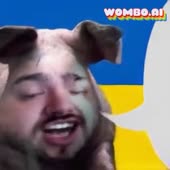 256x256