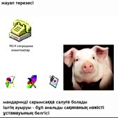 480x480