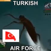 360x360