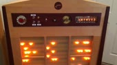 800x450