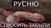 1280x720