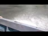480x360