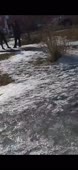 592x1280