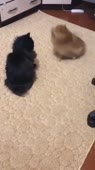360x640