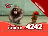 320x240