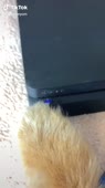 540x960
