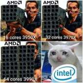 782x782