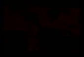 524x360