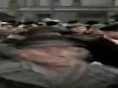 320x240