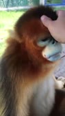 360x640