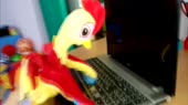 1280x720