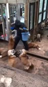 360x640