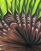 640x800
