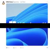 594x579