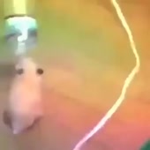 360x360