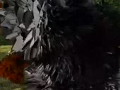 480x360