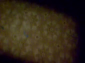 480x360