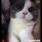 360x360