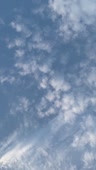 480x848