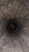 406x720