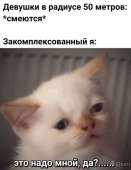 835x1080
