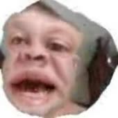 240x240