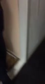262x480