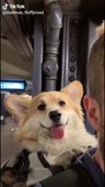 544x960