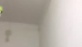 626x360