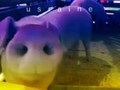480x360