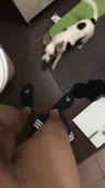 406x720