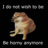 360x360