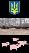 576x1024