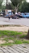720x1280