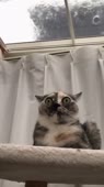 406x720
