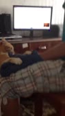 608x1080